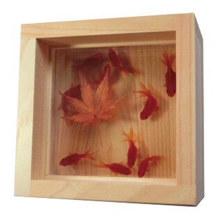 ひのきアート 「桜」アート 本物の桜×プリザーブドフラワー 3D金魚 花
