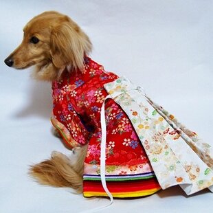 犬着物】花魁 オーダーメイド 犬服 犬の着物 | iichi 日々の