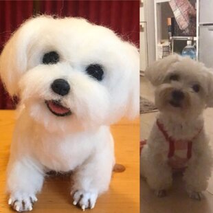 羊毛フェルト☆オーダー 25cm ペット 愛犬 愛猫 | iichi 日々の