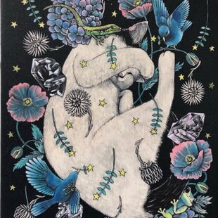 原画 1点もの カエル 蛙 額装付き ボールペン画 日本人作家 色鉛筆画