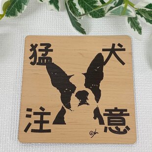 犬服 ラグランTシャツ（白＆赤） | iichi 日々の暮らしを心地よくする