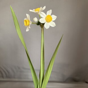 桜 ハーバリウム♬ | iichi 日々の暮らしを心地よくするハンドメイドや