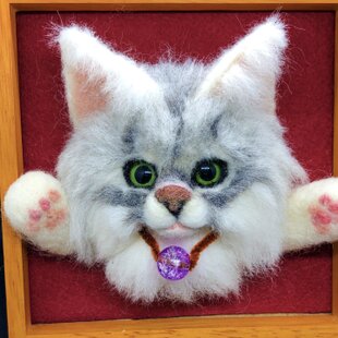 スコティッシュフォールド ねこ 子猫 彡茶* | iichi 日々の暮らしを
