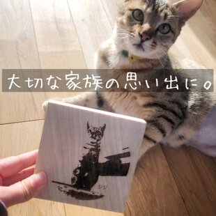 彩色木彫刻置物 猫 小◇桐② | iichi 日々の暮らしを心地よくする