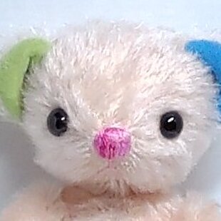earthページ羊毛フェルト ウチの仔オーダー品 鳥 愛鳥ハンドメイド