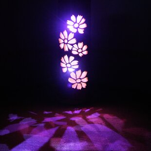 灯のしずく 天然ひょうたんランプ（電池式LED台座付き） | iichi 日々