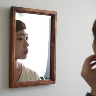 光触媒 人工観葉植物 ウォールグリーン フェイクグリーン 胡蝶蘭7845仏
