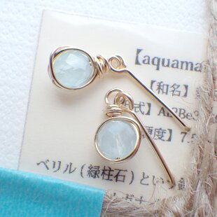 カーネリアン◇太陽の宝石◇k14GF chain ピアス/イヤリング | iichi