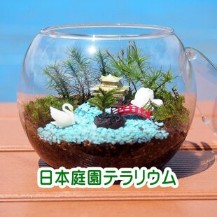 京都【苔テラリウム・手作りキット一式】日本庭園 父の日ギフト