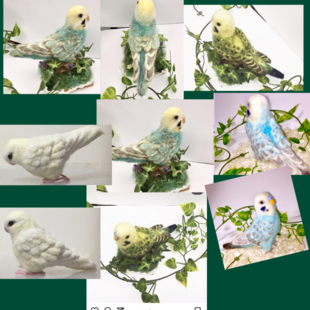 羊毛フェルトのインコ オーダーメイド | iichi 日々の暮らしを心地よく