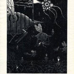銅版画 “Devil in the bush”（額装） | iichi 日々の暮らしを