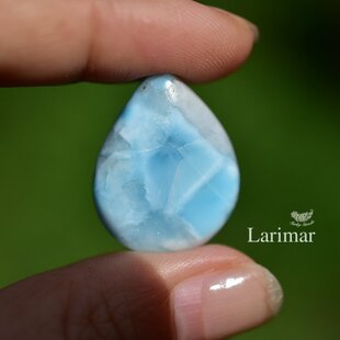 珪化木 ペトリファイドウッド インドネシア産 パームウッド 49.5cts