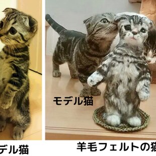 箱入りキツネ | iichi 日々の暮らしを心地よくするハンドメイドや