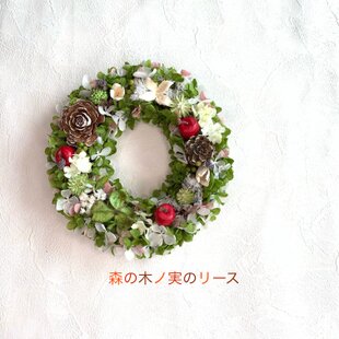 三角葉ミモザ 葉を楽しむスワッグ | iichi 日々の暮らしを心地よくする