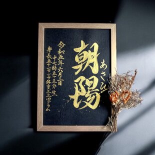 四字熟語「虚心坦懐」手書き書道色紙額／受注後の毛筆直筆（Z2480 