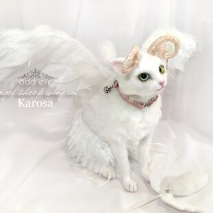 エンジェルシープキャット ホワイトウィングキャット 白猫 首輪