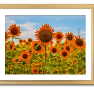 笑顔「ひまわり」「花のある暮らし」A3サイズ光沢写真横 写真のみ 風景