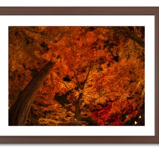 燃えたつ秋［10］【風景写真・おしゃれなポスターアート インテリア