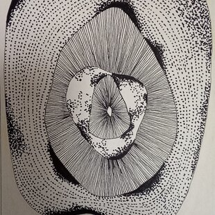 原画 1点もの 額装付き ボールペン画 ボールペンアート 色鉛筆画 日本