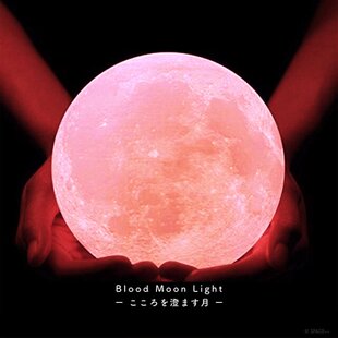 ☆ハンドメイド☆　シーグラス　ライト　証明　ランプ シーグラスランプ 猫らんぷ-26 | iichi 日々の暮らしを心地よくする