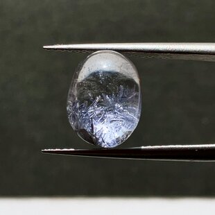 珪化木 ペトリファイドウッド インドネシア産 パームウッド 49.5cts
