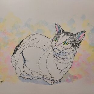 原画 1点もの うさぎ ウサギ 額装付き ボールペン画 日本人作家 色鉛筆
