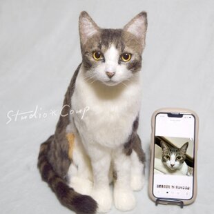 羊毛フェルト☆オーダー ペット 愛犬 愛猫 | iichi 日々の暮らしを