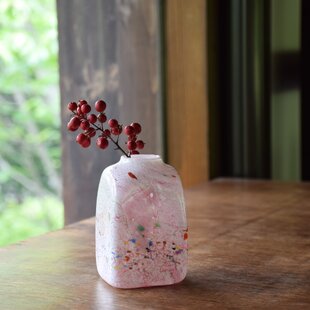 オリーブの木 ネバディロブランコ SOUJU 9号鉢植え 古木 観葉植物 おしゃれ：オリーブの木 *SOUJU（創樹） ネバディロ ブランコ
