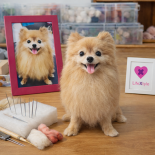 ボーダーコリー 羊毛フェルト｜愛犬 オーダーメイド | iichi 日々の