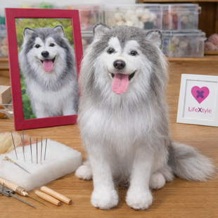 羊毛フェルト　リロママ様確認用　ボーダーコリー　ハンドメイド　犬　オーダー ボーダーコリー 羊毛フェルト｜愛犬 オーダーメイド | iichi 日々の
