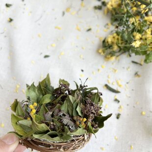 ユーカリとかすみ草のミニリース | iichi 日々の暮らしを心地よくする