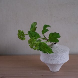 光触媒 人工観葉植物 ウォールグリーン フェイクグリーン カポック 