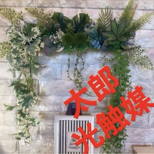 光触媒、人工観葉植物、ウォールグリーン フェイクグリーン 壁掛け