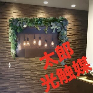 光触媒、人工観葉植物、ウォールグリーン フェイクグリーン 壁掛け 