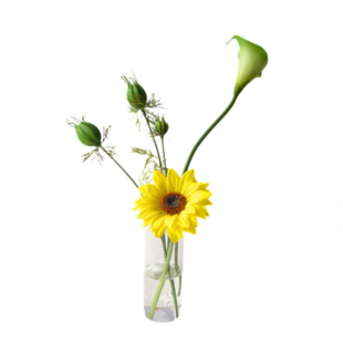 紫陽花のスワッグ ☆ antique green | iichi 日々の暮らしを心地よく