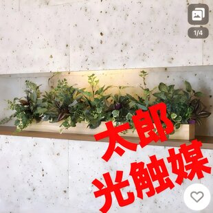 光触媒 人工観葉植物 ウォールグリーン フェイクグリーン ウッド