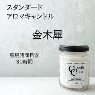 北欧のお家*+キャンドルホルダー*エアプランツ入れ | iichi 日々の
