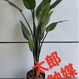 光触媒 人工観葉植物 ウォールグリーン フェイクグリーン 壁掛けソード