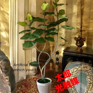 光触媒　人工観葉植物　ウォールグリーン　フェイクグリーン　2本ウンベラータ115 光触媒 人工観葉植物 ウォールグリーン フェイクグリーン ウンベラータ