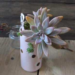紫陽花のスワッグ ☆ antique green | iichi 日々の暮らしを心地よく