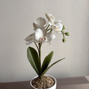春ビオラのハーバリウム spring フラワーギフト | iichi 日々の暮らし