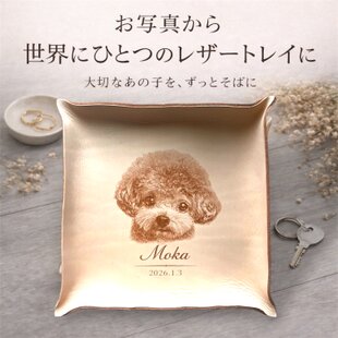 アクセサリートレイ ジェスモナイト オブジェ アクセサリープレート