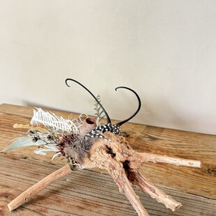 ユーカリとかすみ草のミニリース | iichi 日々の暮らしを心地よくする