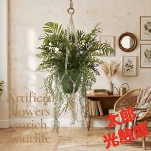 光触媒 人工観葉植物 フェイクグリーン オーガスタ ストレッチア160@m