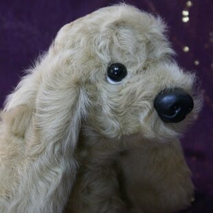 Woderful Alice トイプードル レッド No.6 犬 ぬいぐるみ リアルサイズ