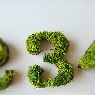 数字 オブジェ(モス) 木製『6』×1点 | iichi 日々の暮らしを心地よく