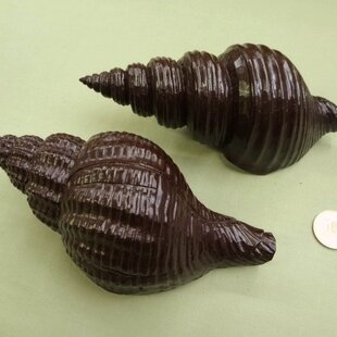 黒檀 大クワガタ虫 | iichi 日々の暮らしを心地よくするハンドメイドや