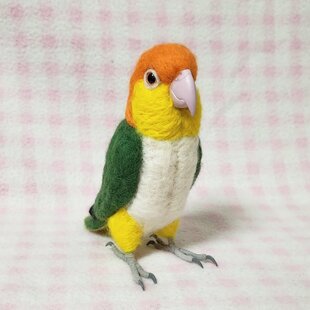 リアルサイズ♪ シロハラインコ 中型インコ 羊毛フェルト ライフサイズ