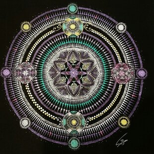 肉筆 原画 1点もの ボールペン画 日本人作家 色鉛筆画 亀の絵 かめ