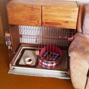 麦穂のブックシェルフ 本棚 | iichi 日々の暮らしを心地よくする
